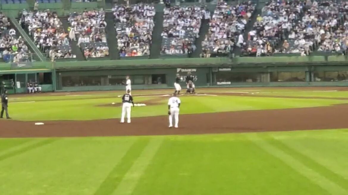 20240501　神戸に響くﾄｼﾔ♪【佐藤都志也 応援歌】千葉ﾛｯﾃﾏﾘｰﾝｽﾞ　1回表@ほっともっとﾌｨｰﾙﾄﾞ神戸･ﾚﾌﾄ外野