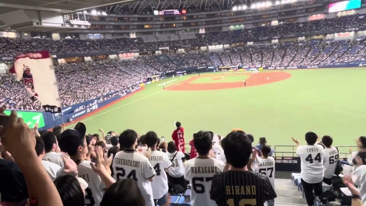 太田椋の2点タイムリーヒットでバファローズが逆転💥