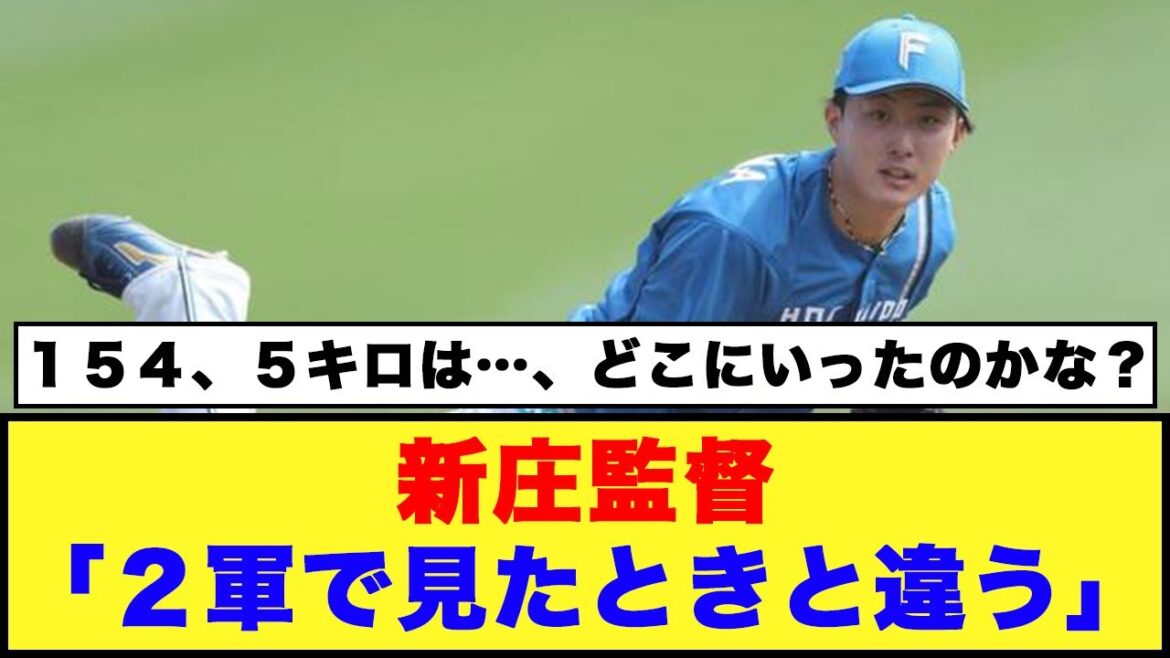 【日本ハム】新庄監督「２軍で見たときと違う」「育成出身の柳川の評価」【日本ハム反応集】【ネットの反応】#日本ハムファイターズ #新庄監督 #柳川大晟 # 畔柳亨丞