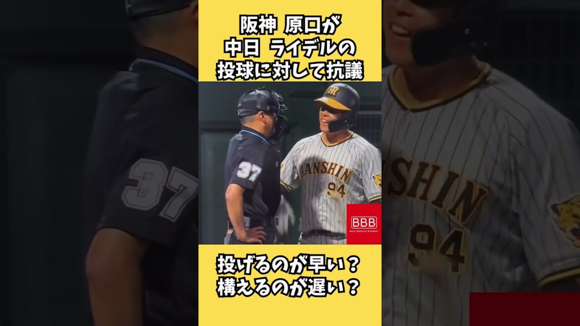 これはどっちが正しい？#阪神タイガース #中日ドラゴンズ #原口文仁 #ライデルマルティネス