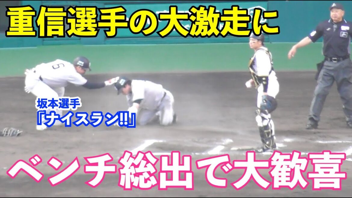 スーパーサブの大激走！巨人重信選手の本塁激走にベンチ総出のお祭り騒ぎ！坂本選手は重信選手にお褒めの頭ポンッからハイタッチ！巨人vs阪神 延長10回表
