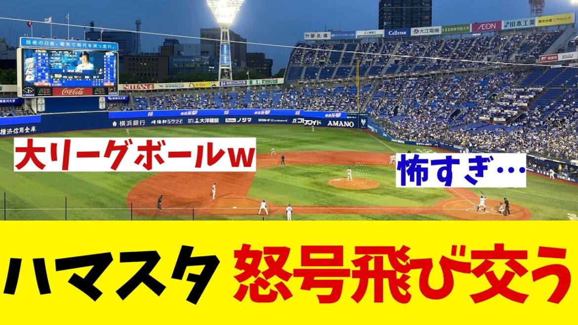 横浜スタジアムで怒号が飛び交う！？【野球情報】【2ch 5ch】【なんJ なんG反応】