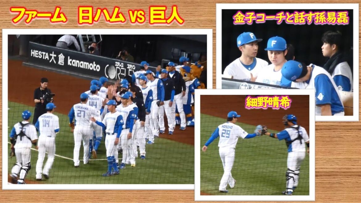 【20240526】細野晴希　孫易磊　を中心に撮っています