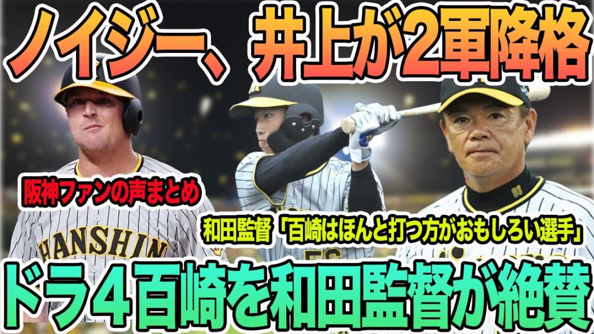 【ノイジー、井上が2軍降格】ドラ4百崎を和田2軍監督が絶賛 阪神ファンの声まとめ #阪神 #阪神タイガース #ノイジー #井上 #小野寺 #島田 #島本 #百崎 【ノイジー、井上が2軍降格】ドラ4百崎を和田2軍監督が絶賛 阪神ファンの声まとめ #阪神 #阪神タイガース #ノイジー #井上 #小野寺 #島田 #島本 #百崎