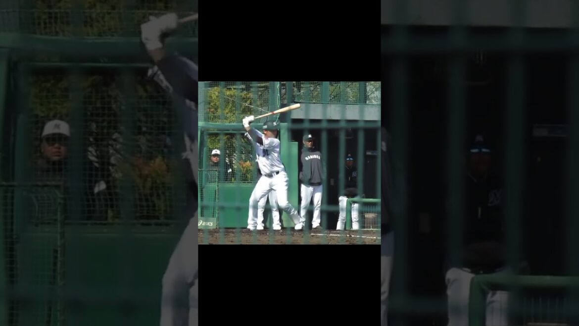 【マリーンズ】石川慎吾の打撃フォーム2024年3月7日 春季教育リーグロッテ浦和球場 千葉ロッテ対 オイシックス新潟アルビレックスBC