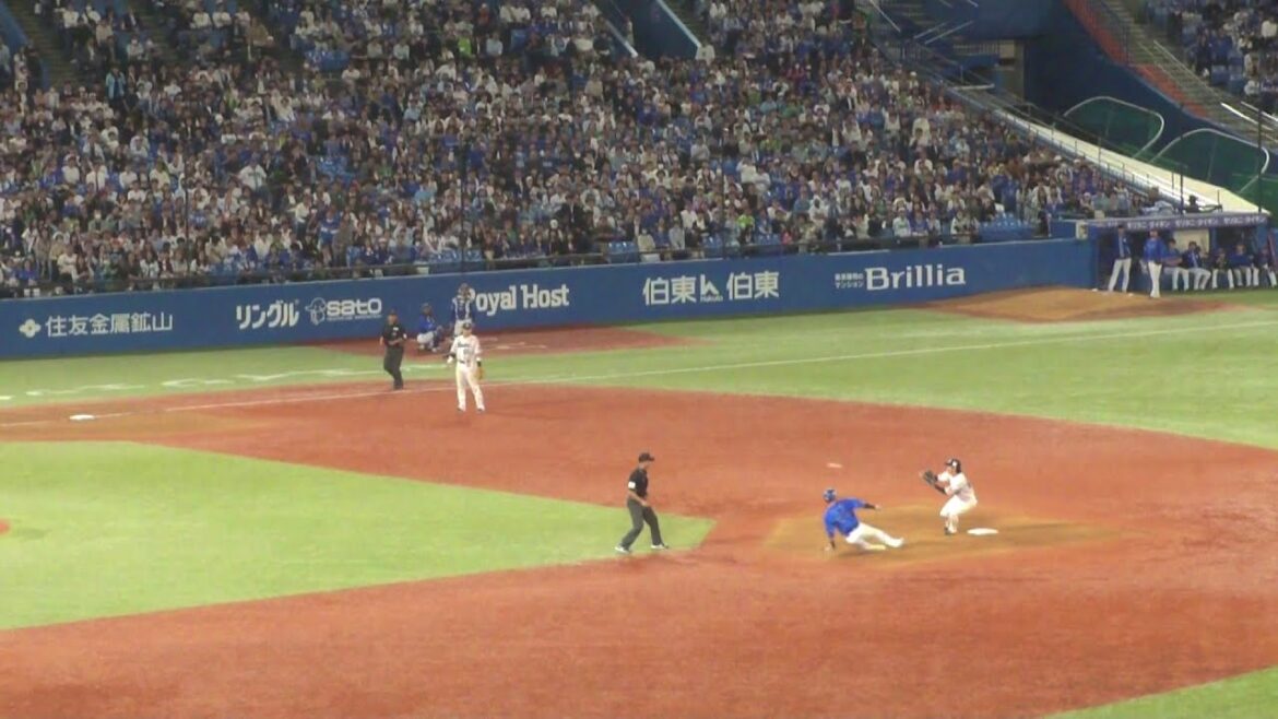 ヤクルト 中村悠平 本日2つ目の盗塁阻止でナイスプレー　蝦名達夫は盗塁失敗　ヤクルト vs DeNA　2024年5月22日(水)