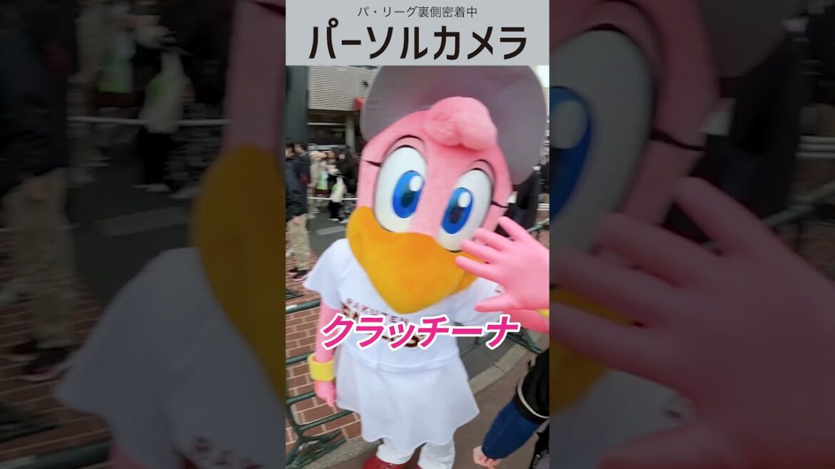 Pacific-League: パリーグ裏側密着中!「パーソルカメラ」ファンの心を「わしづかみ」!! #shorts パリーグ裏側密着中!「パーソルカメラ」ファンの心を「わしづかみ」!! #shorts