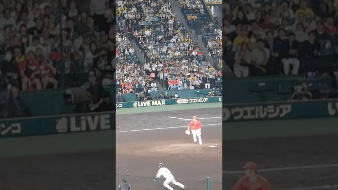 近本光司 広島 床田の牽制が上手すぎて逆を突かれる