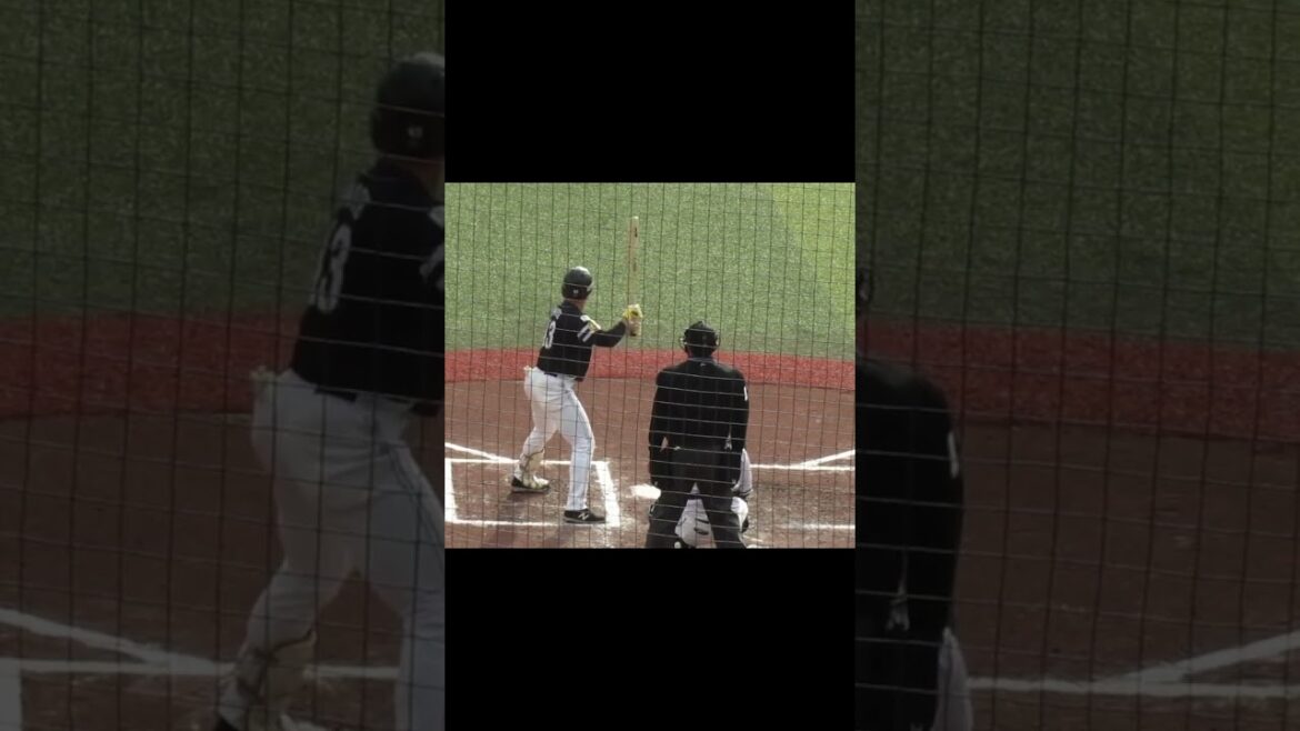 ホークス井上朋也のバッティングフォーム千葉ロッテマリーンズ対ソフトバンクホークス2024年3月8日