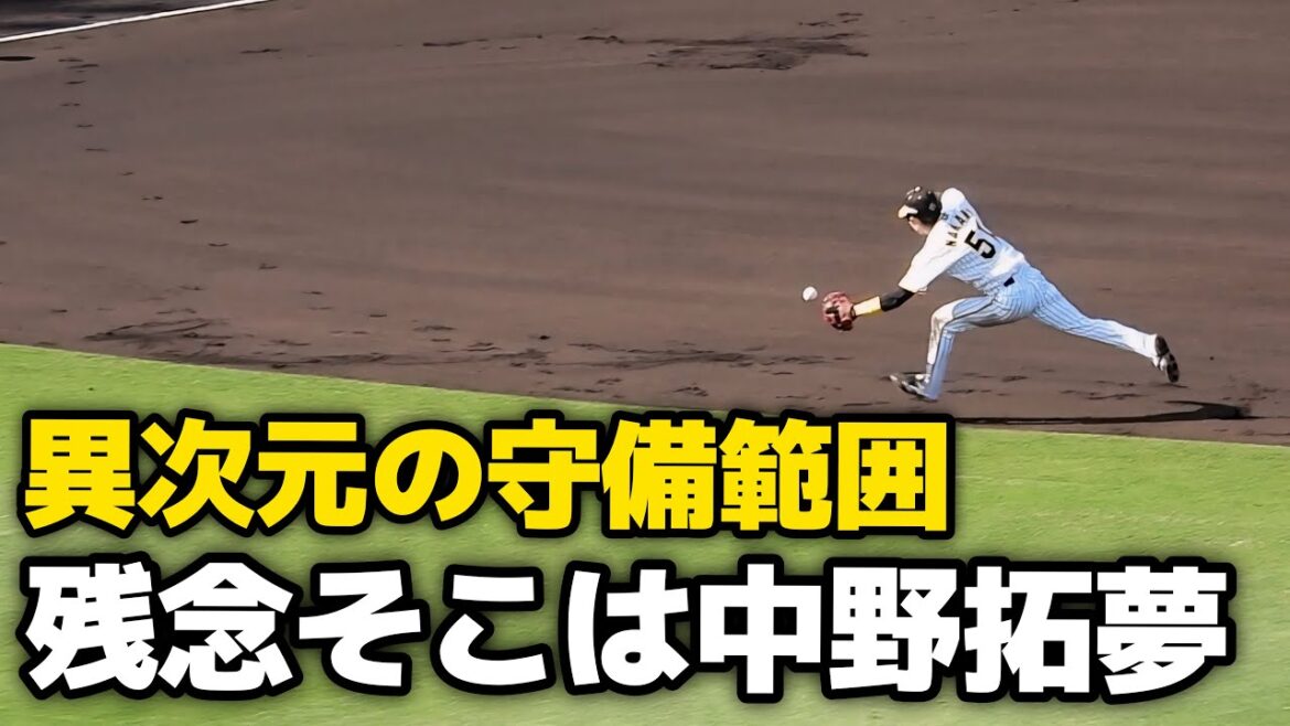 【異次元の守備範囲】中野拓夢、一二塁間抜けそうな打球にダイビングキャッチ！素早く立ち上がり華麗な一回転スローでアウトに！ベンチの岡田監督はニッコニコ！ 2024.5.25