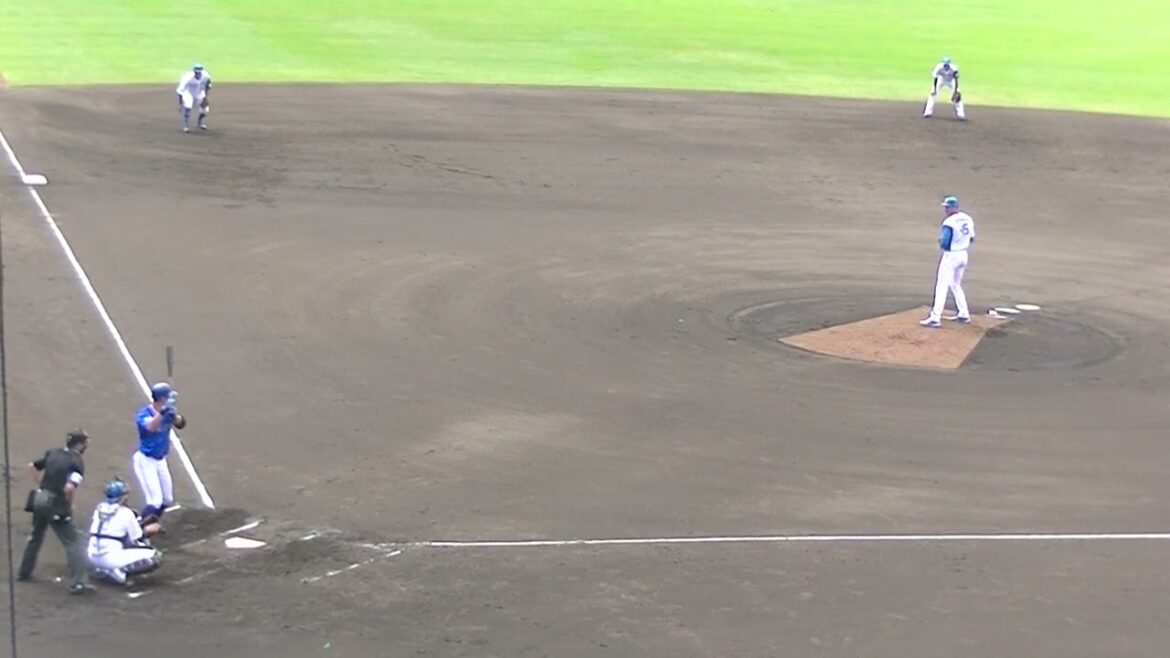 大田泰示を空振り三振にとるバーヘイゲン【日本ハムファイターズ対 横浜DeNAベイスターズ2024年5月8日】