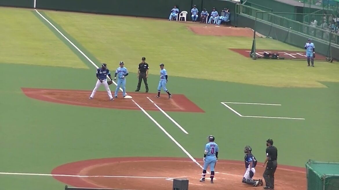 並木秀尊の打席〜審判以外みんなストライクだと思って中々歩かない＜2軍・ヤクルトスワローズ対 西武ライオンズ  2024年5月26日＞