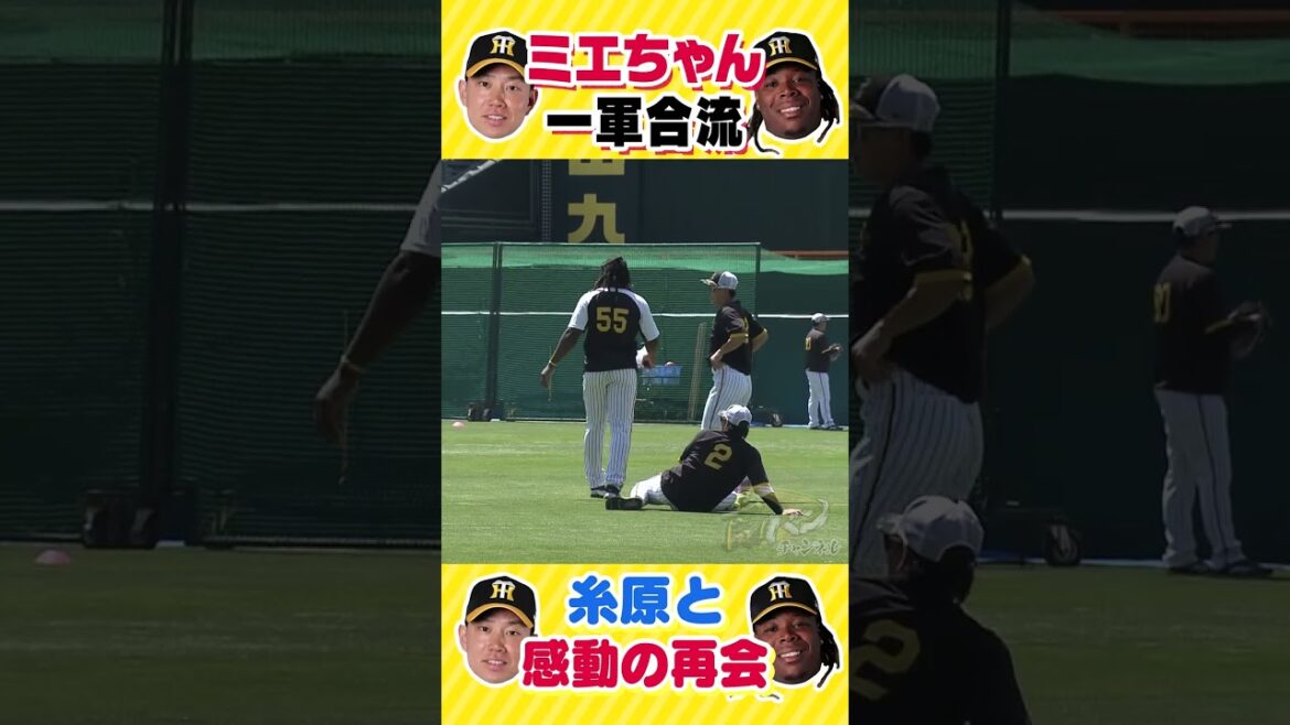 【熱烈ハグ💛】ミエちゃん大好きな糸原と感動の再会　#shorts #shorts_YouTube