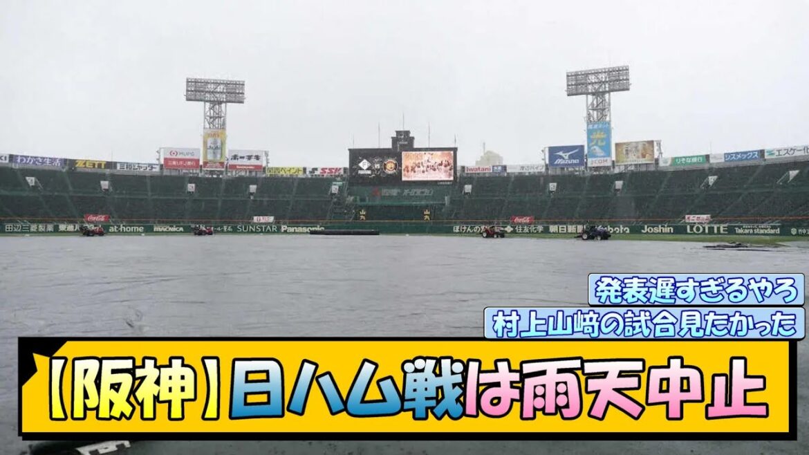 【阪神】日ハム戦は雨天中止【なんJ/2ch/5ch/ネット 反応 まとめ/阪神タイガース/岡田監督】