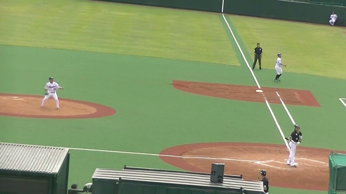 山本大斗を打ち取る田口麗斗2024年5月12日  ヤクルトスワローズ対ロッテマリーンズ