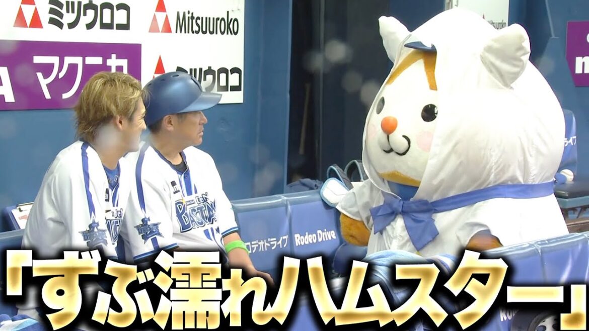 Pacific-League: 【かわよ】雨のヨコハマ『DB.スターマン・スタッフが最大限の力を尽くすも…』 【かわよ】雨のヨコハマ『DB.スターマン・スタッフが最大限の力を尽くすも…』