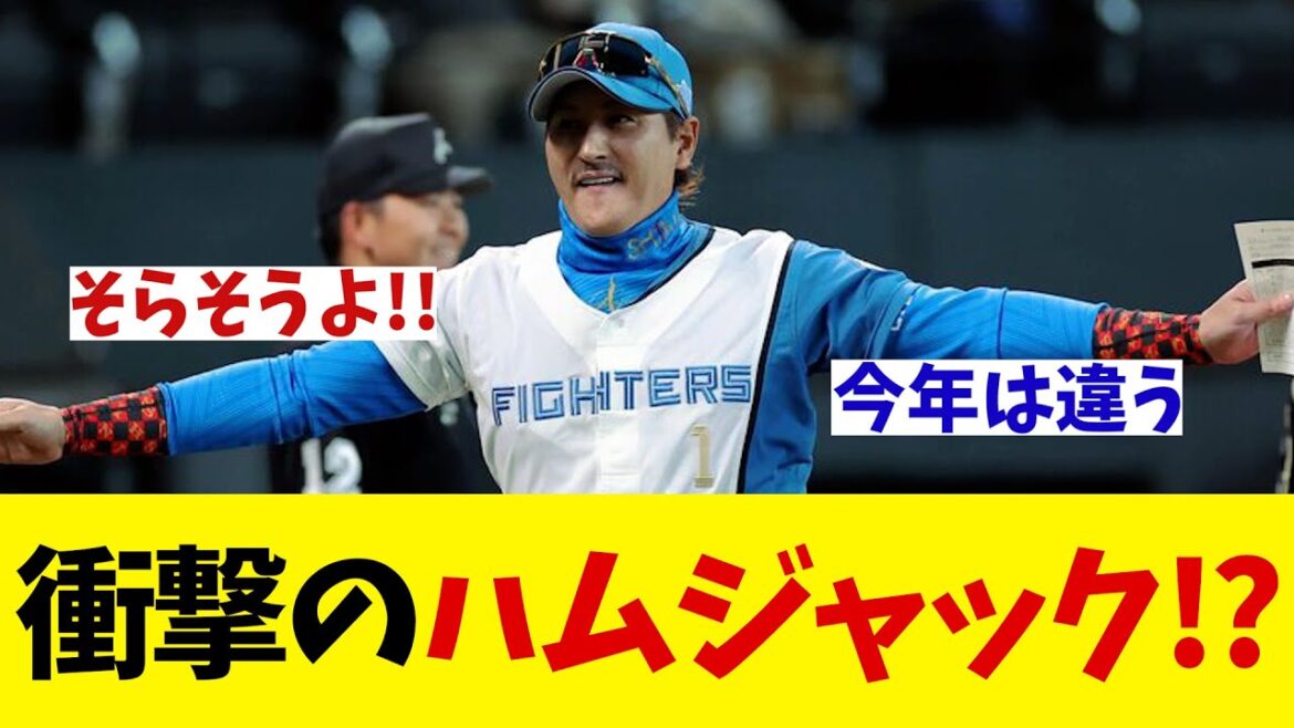 衝撃のハムジャック！？オールスターをジャックする！！！【野球情報】【2ch 5ch】【なんJ なんG反応】