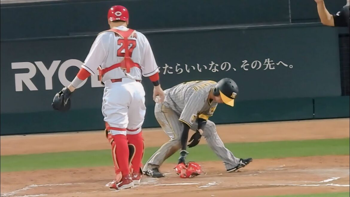 【ここに置いときます】會澤のキャッチャーマスクをホームベース手前に丁寧に置く近本光司 2024.5.22