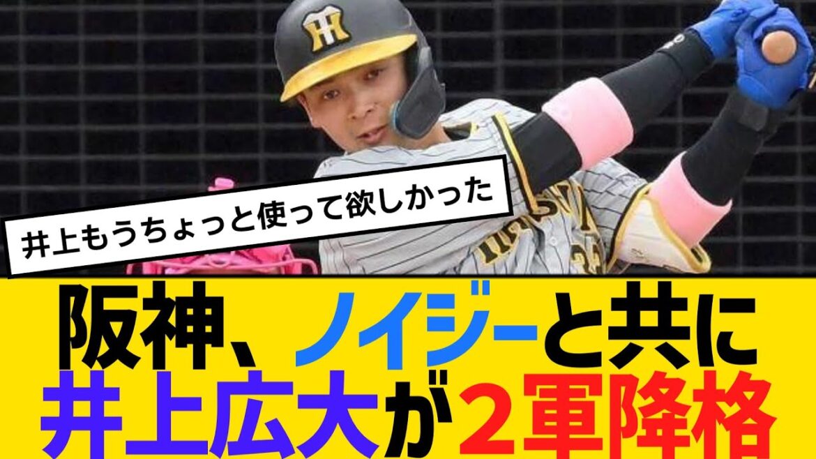 阪神、ノイジーと共に井上広大が２軍降格　【ネットの反応】【反応集】