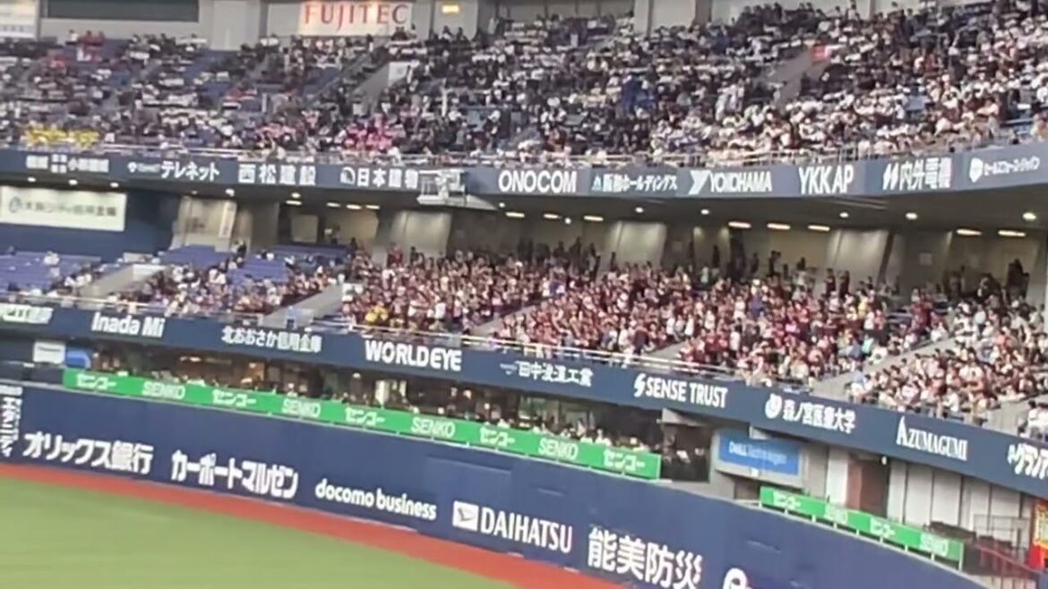 【応援歌】鈴木大地