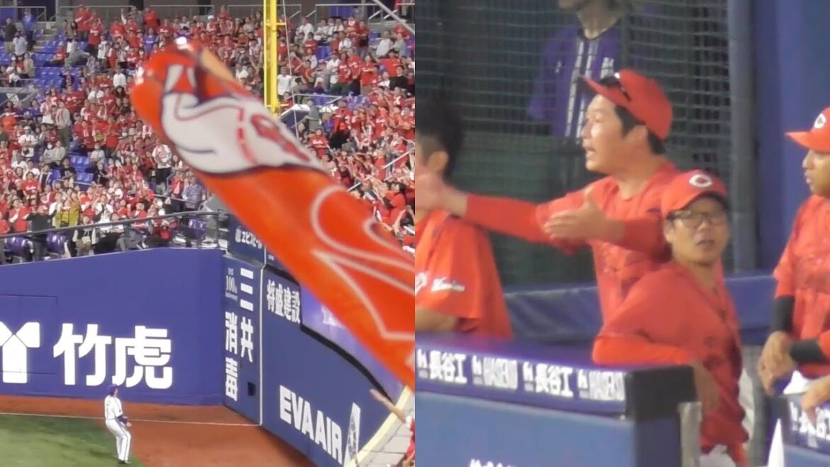 ファンは確信？秋山翔吾のホームラン性の打球はファアル判定！リクエストが遅く認めてもらえない新井監督！2024年5月25日