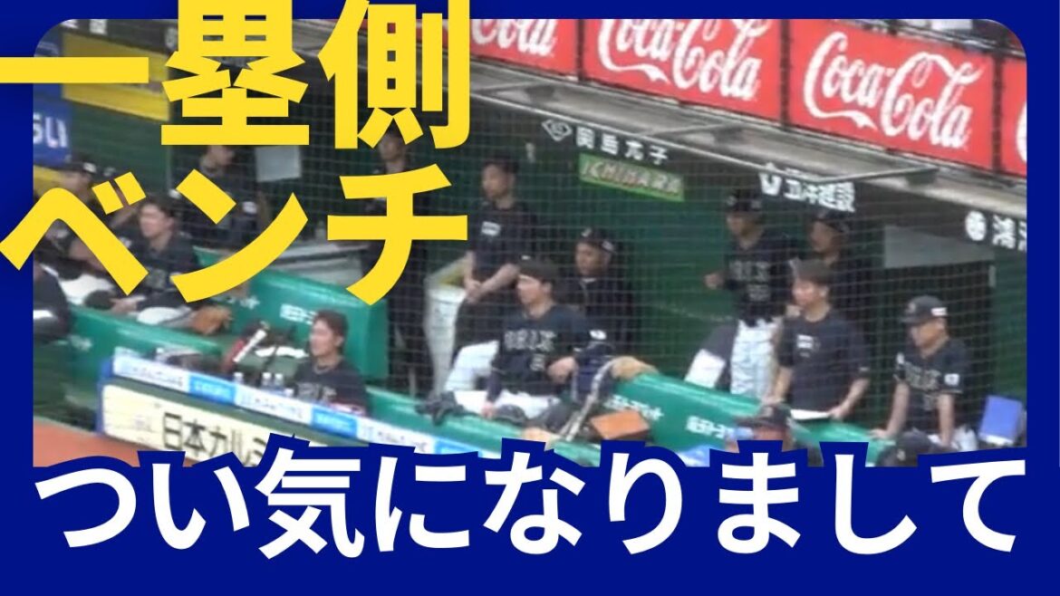 【ベルーナドーム】西武vsオリックス 本日のオリックスベンチ 2024/05/25 【ベルーナドーム】西武vsオリックス 本日のオリックスベンチ 2024/05/25