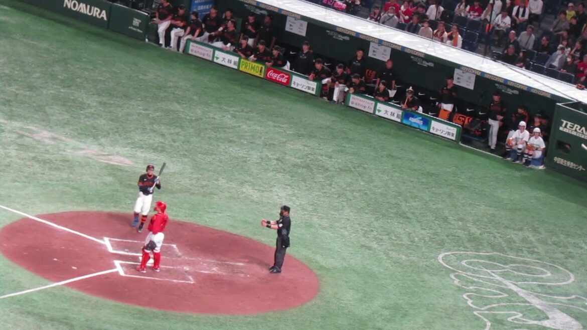 サヨナラのチャンスで松原聖弥 皆乗り出して応援＜読売ジャイアンツ 対 広島カープ 2024年4月13日＞