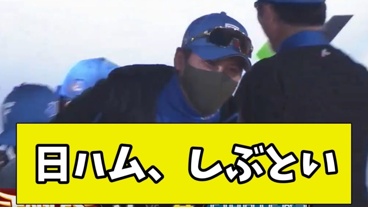 【延長】日ハム、しぶとい【2chまとめ】