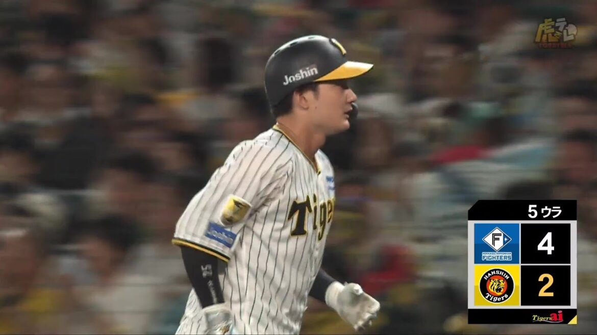 【大犠飛】5回裏、 #渡邉諒 選手のセンター犠牲フライで1点返す！【2024/5/29Ｔ－F】