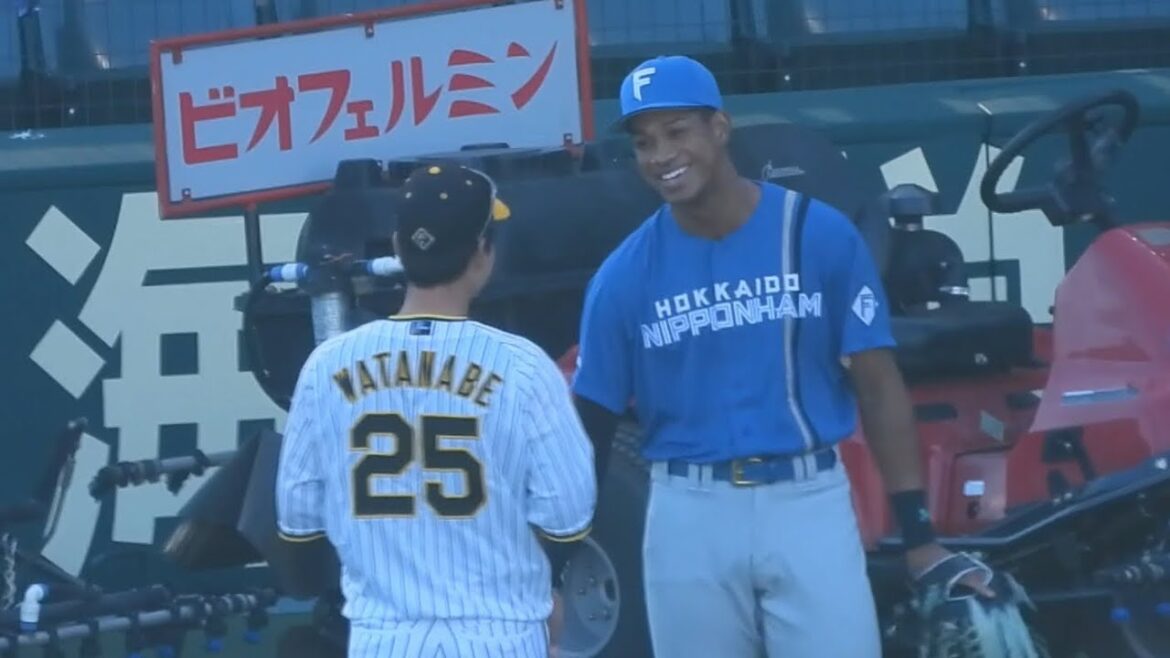 【阪神・日本ハム試合前交流】元日本ハム・渡邉諒、万波・野村らと試合前に談笑 2024.5.29