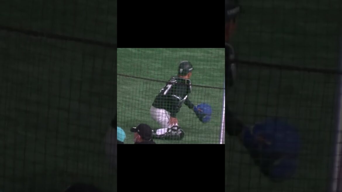 マリーンズ田村龍弘のキャッチング練習　2024年3月19日 読売ジャイアンツ対 千葉ロッテマリーンズ