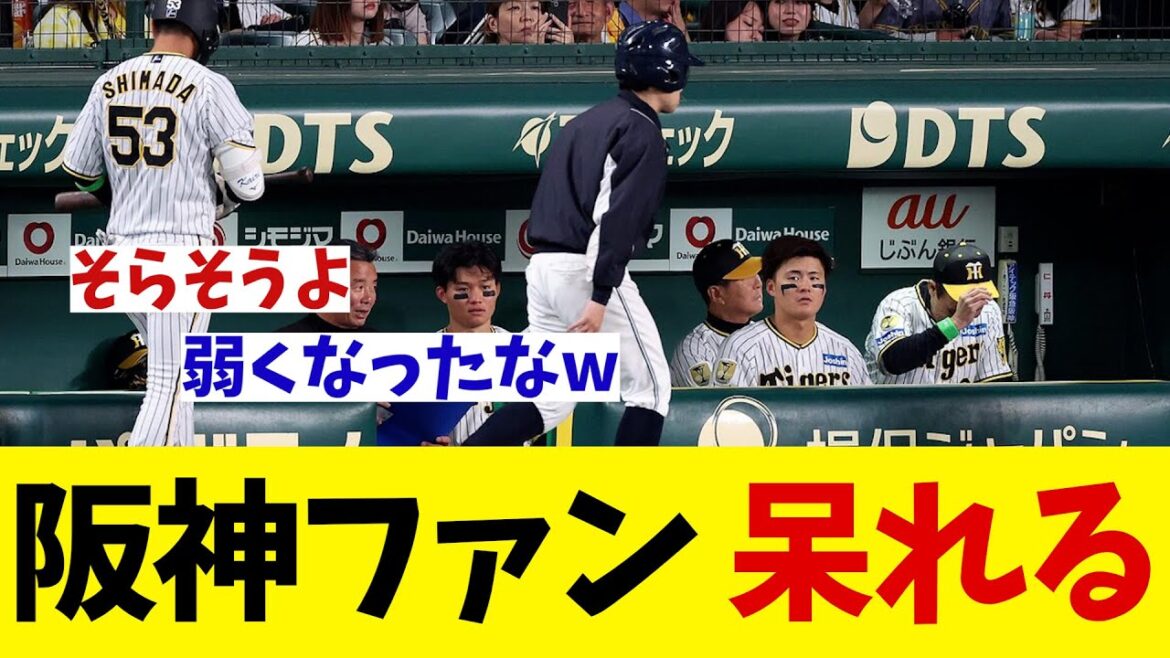 阪神の大敗にファンが呆れてしまう・・・【野球情報】【2ch 5ch】【なんJ なんG反応】
