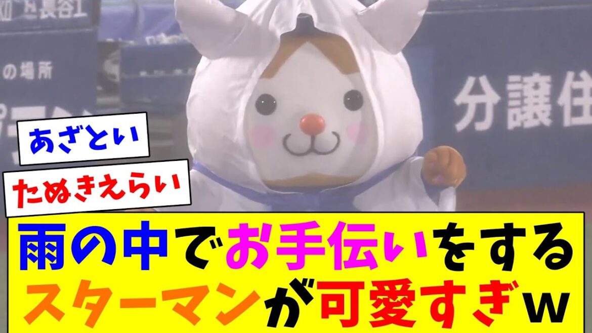 雨の中でお手伝いをするスターマンが可愛すぎるｗｗｗｗ