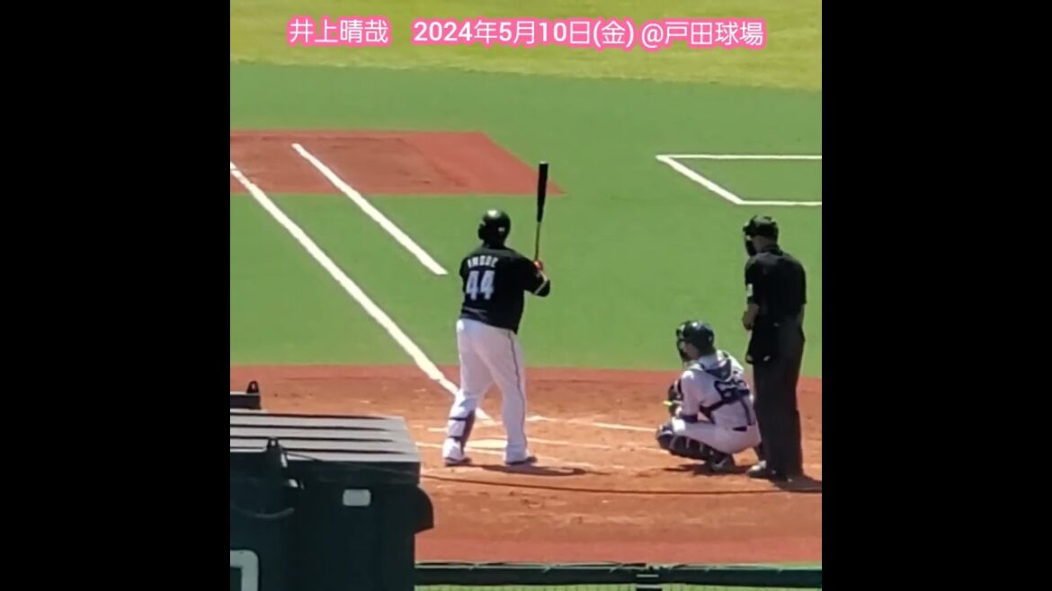 20240510　現在は2軍…ｱｼﾞｬこと井上晴哉のバッティング　#shorts　千葉ﾛｯﾃﾏﾘｰﾝｽﾞ@ﾔｸﾙﾄ戸田球場［ｲｰｽﾀﾝ･ﾘｰｸﾞ 2軍戦］