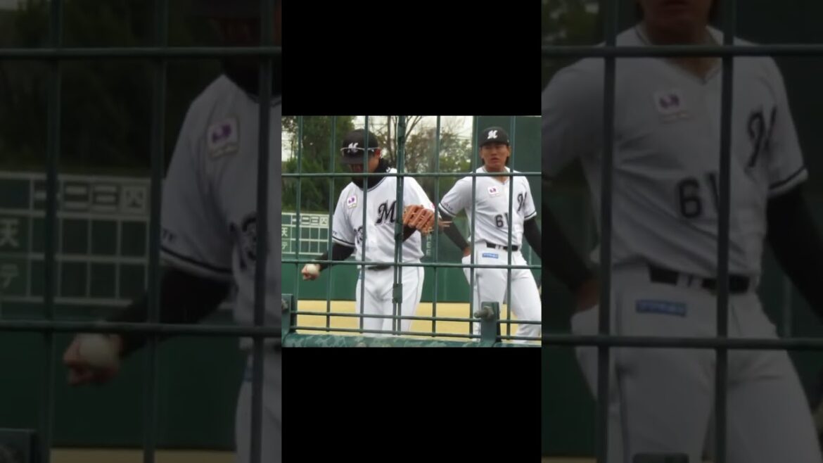 ロッテ石川慎吾 試合前キャッチボール（春季教育リーグ 千葉ロッテマリーンズ対 楽天ゴールデンイーグルス） ＃2024年3月5日