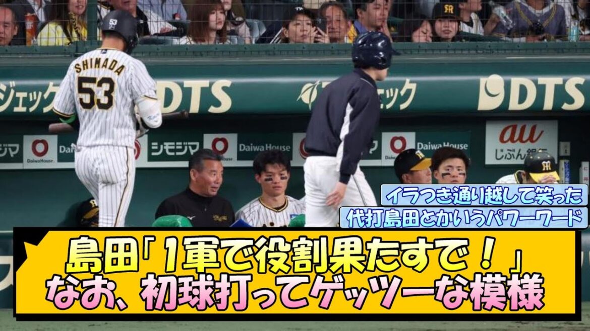 島田「1軍で役割果たすで！」なお初球打ってゲッツーな模様【なんJ/2ch/5ch/ネット 反応 まとめ/阪神タイガース/岡田監督/島田海吏】