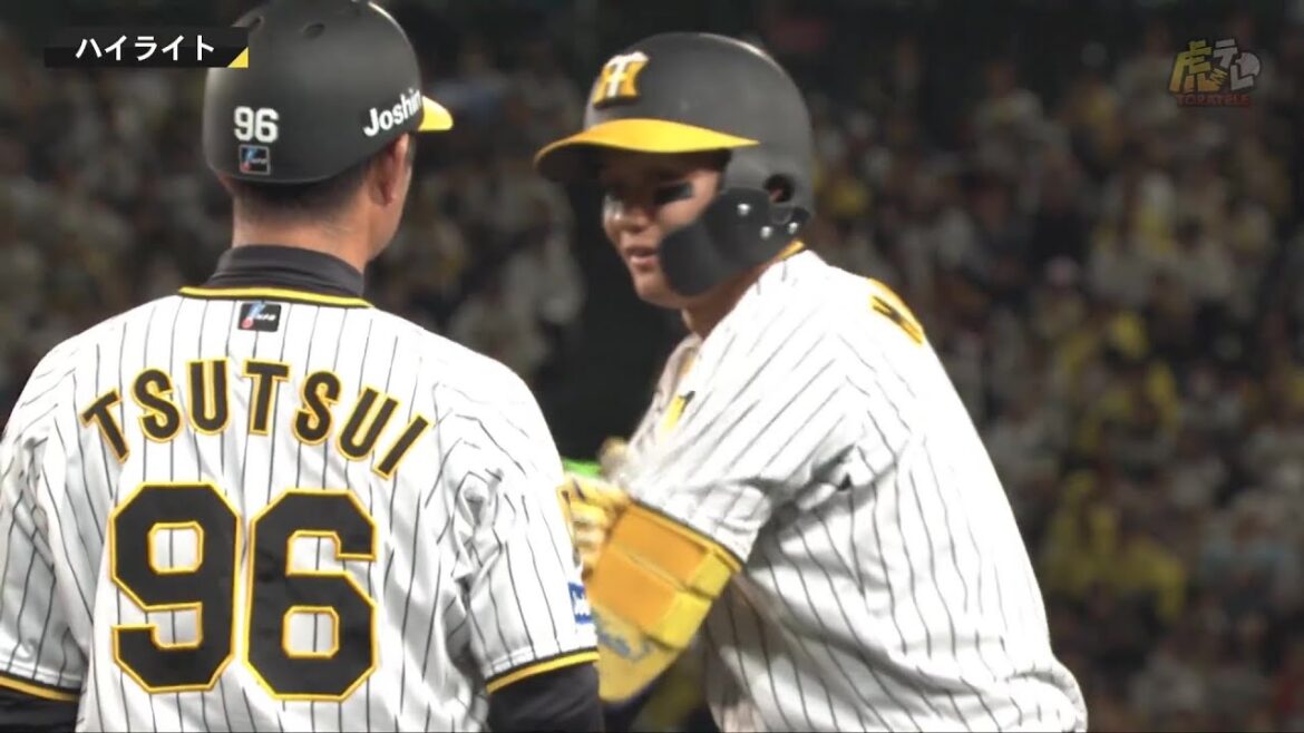 【ハイライト】阪神vs日本ハム【2024/5/30Ｔ－F】