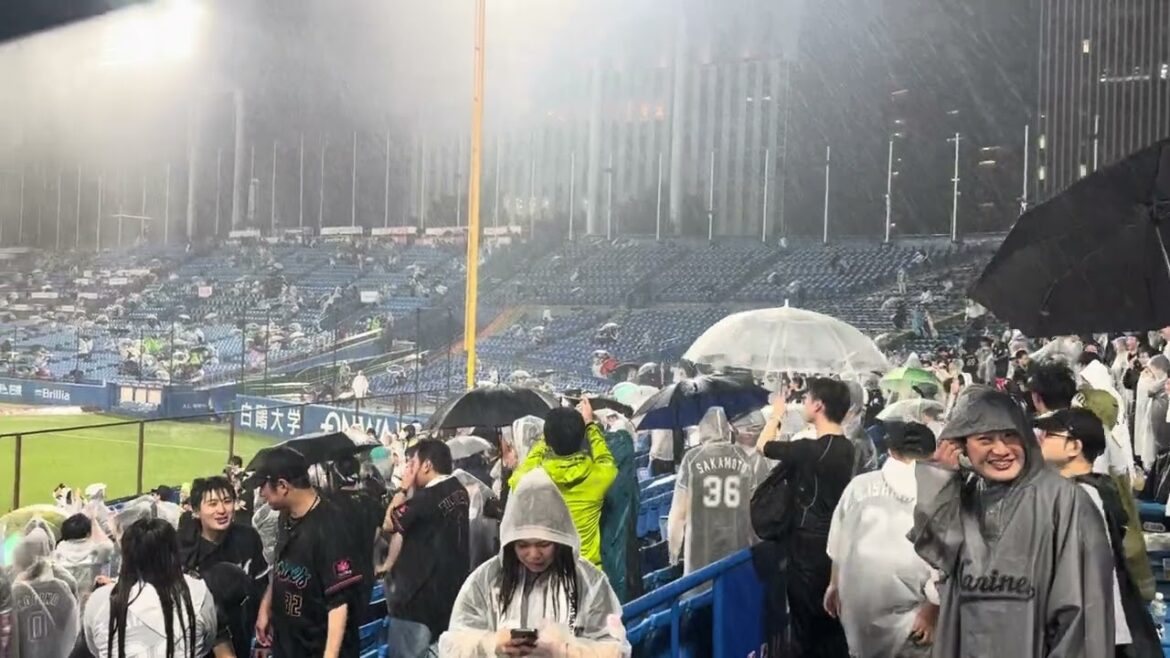 雨で中断中に何故か清田育宏応援歌 2024/5/28 ヤクルト vsロッテ #chibalotte
