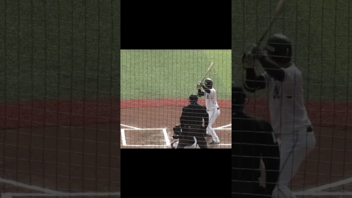 マリーンズ藤原恭大バッティングフォーム千葉ロッテマリーンズ対ソフトバンクホークス2024年3月8日