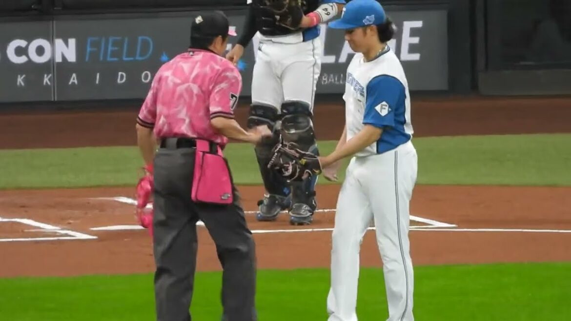 【大海対決】母の日、初級ホームランでロッテファンが爆盛り上がりする瞬間！！伊藤大海vs岡大海　エスコンフィールド北海道日本ハム対ロッテ