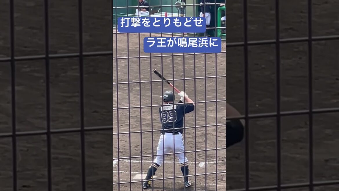 #orix #杉本裕太郎 選手が