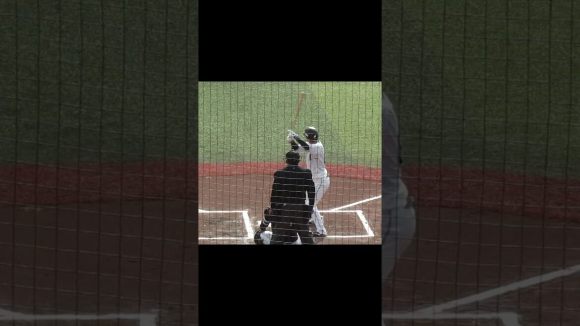 マリーンズ和田康士郎バッティングフォーム千葉ロッテマリーンズ対ソフトバンクホークス2024年3月8日