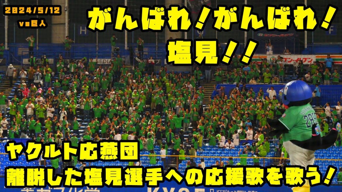 ヤクルト応燕団　離脱した塩見選手への応援歌を歌う！！　2024/5/12 vs巨人