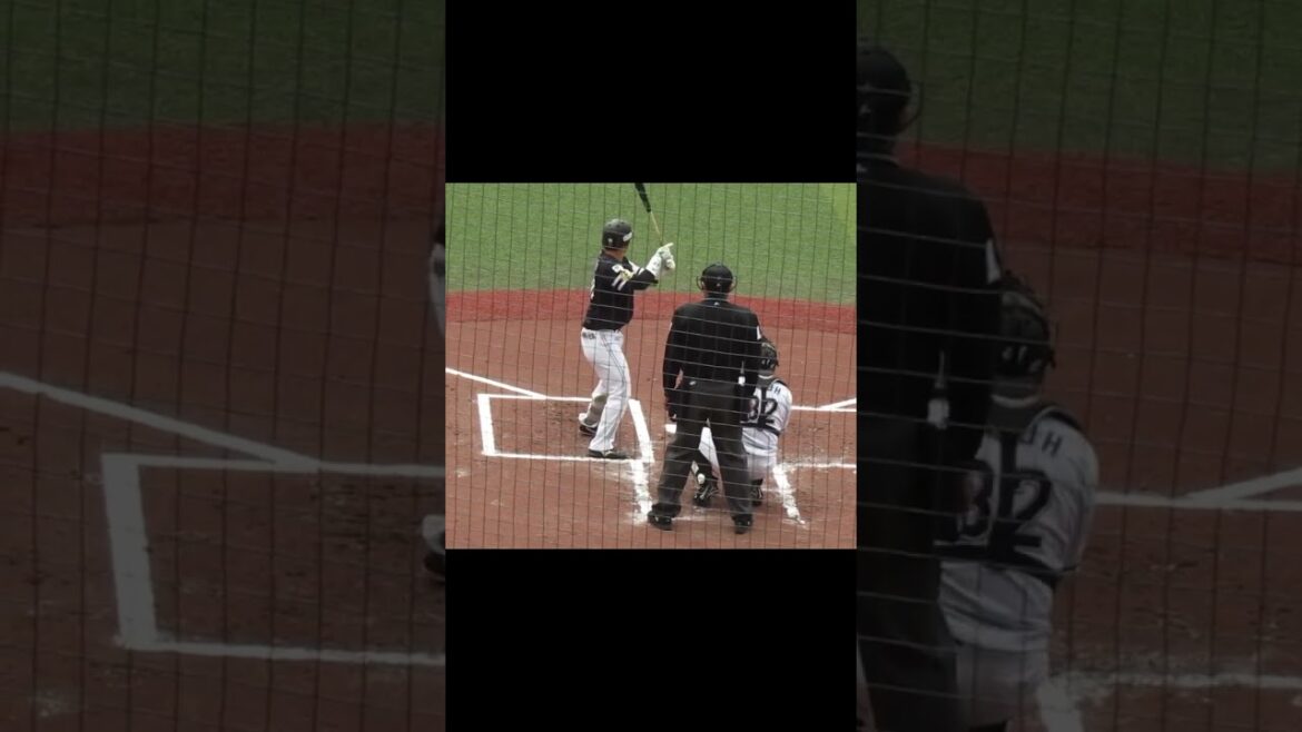 ホークス 海野隆司 バッティングフォーム千葉ロッテマリーンズ対ソフトバンクホークス2024年3月8日