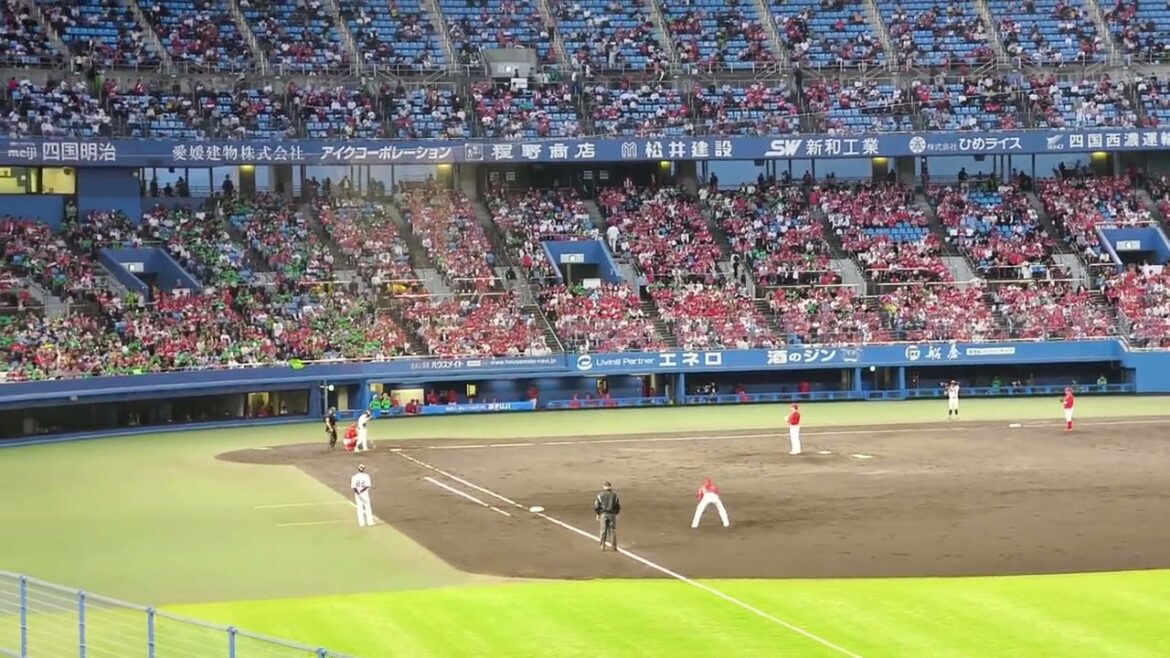 【東京ヤクルトスワローズ】青木宣親選手の応援の様子！ 2024 5/15坊っちゃんスタジアム