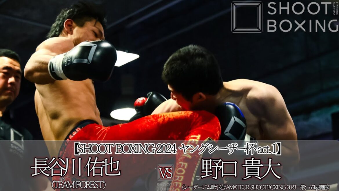 長谷川佑也 vs 野口貴大【SHOOT BOXING 2024 ヤングシーザー杯 act.1】 長谷川佑也 vs 野口貴大【SHOOT BOXING 2024 ヤングシーザー杯 act.1】