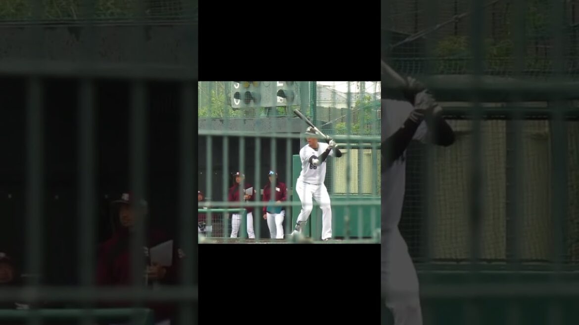 ロッテ金田優太のバッティングフォーム（春季教育リーグ 千葉ロッテマリーンズ対 楽天ゴールデンイーグルス） ＃2024年3月5日