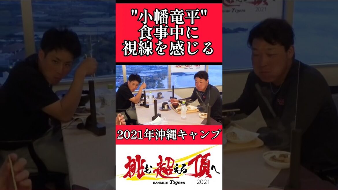 【阪神】食事中に視線を感じる小幡！ #阪神 #阪神タイガース #小幡竜平  #shorts