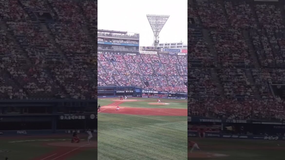 20240526、８回裏、戸柱２塁打も最後代打オースティン、空振三振！！