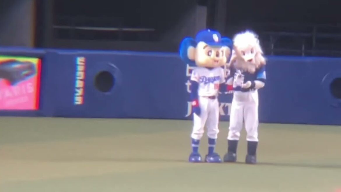 自分の本の宣伝をするドアラ(2024/5/29)